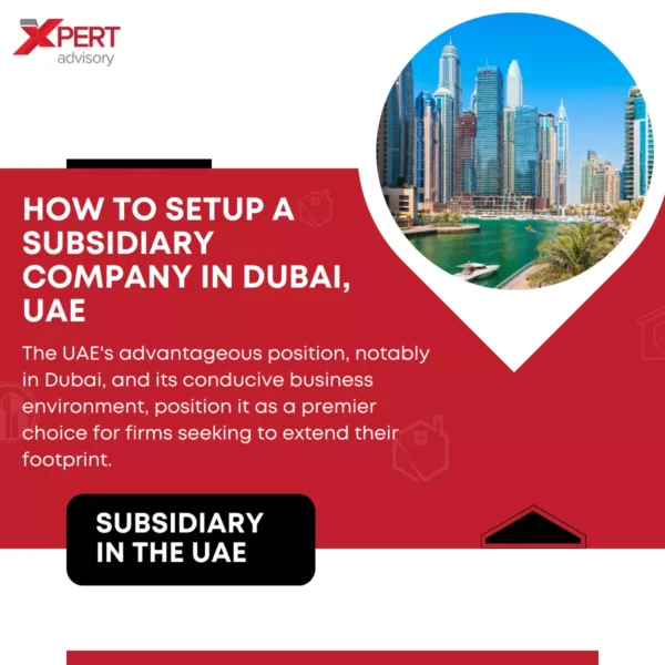 Setup A Subsidiary Company In Dubai