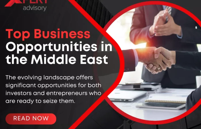 Business Opportunities in the Middle East