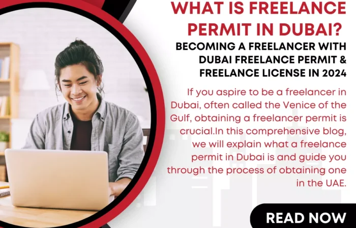 What is Freelance Permit in Dubai