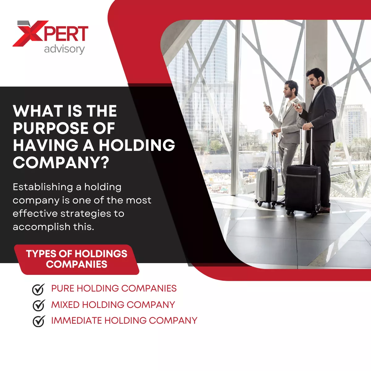 What is the Purpose of Having a Holding Company