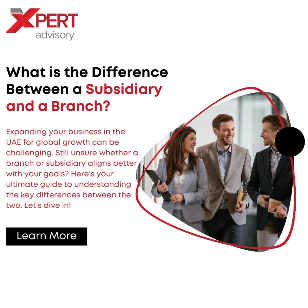 What is the Difference Between a Subsidiary and a Branch