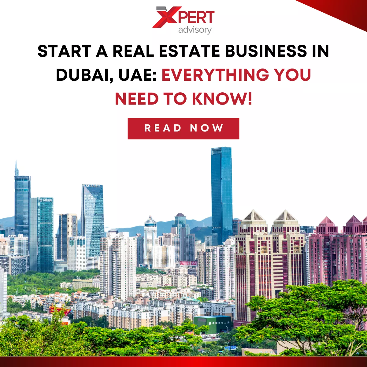 Start Real Estate Business in Dubai