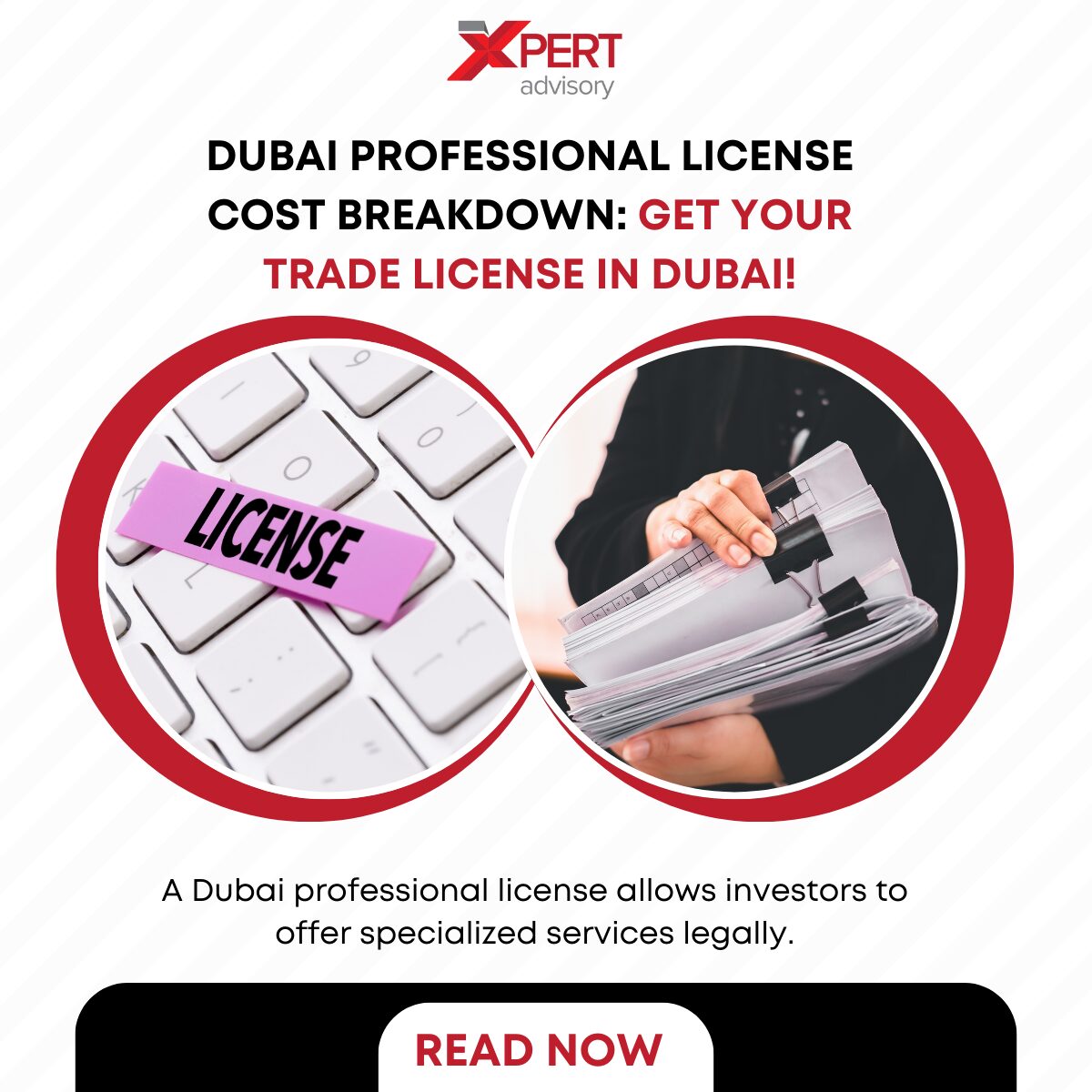 Dubai Professional License Cost