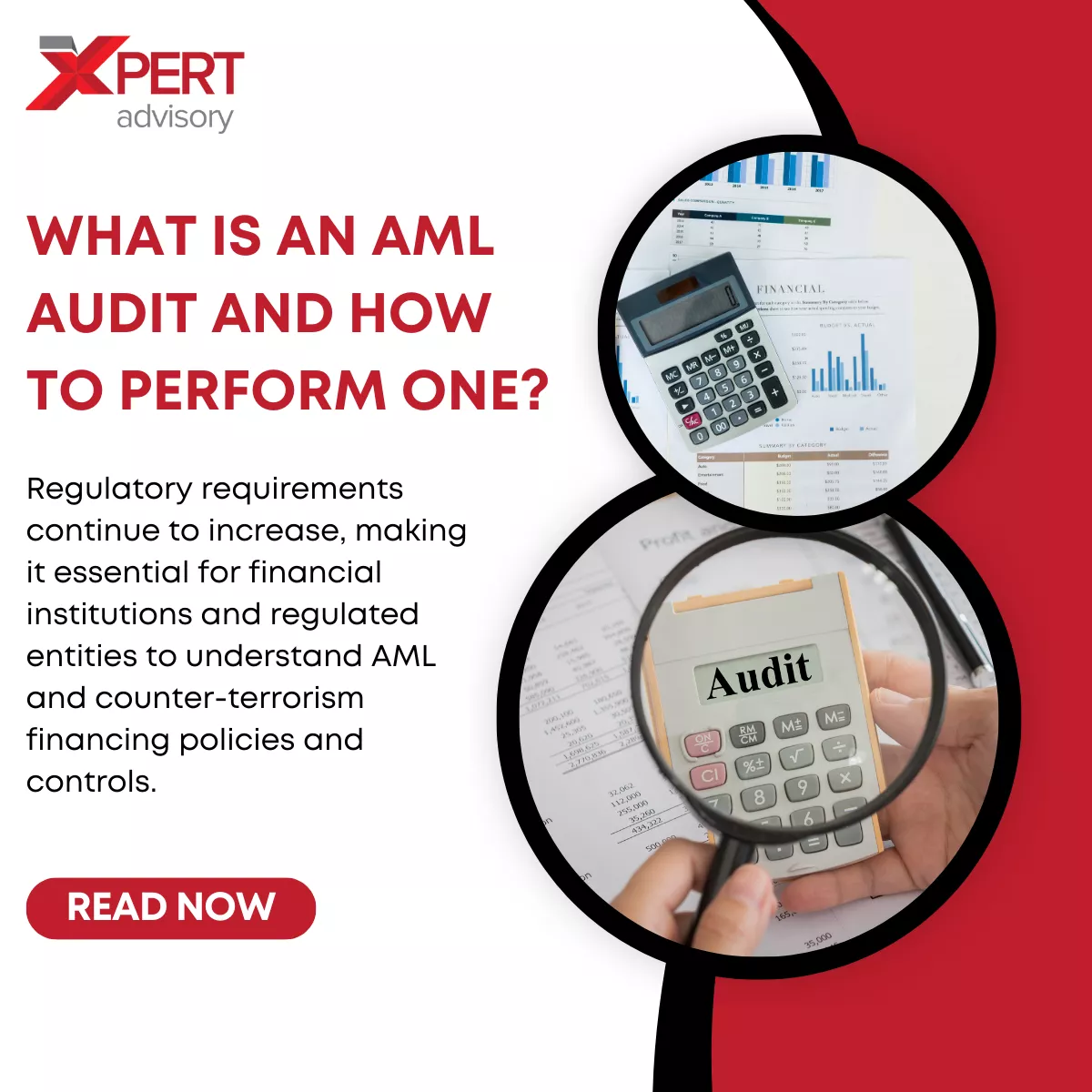 What is an AML Audit