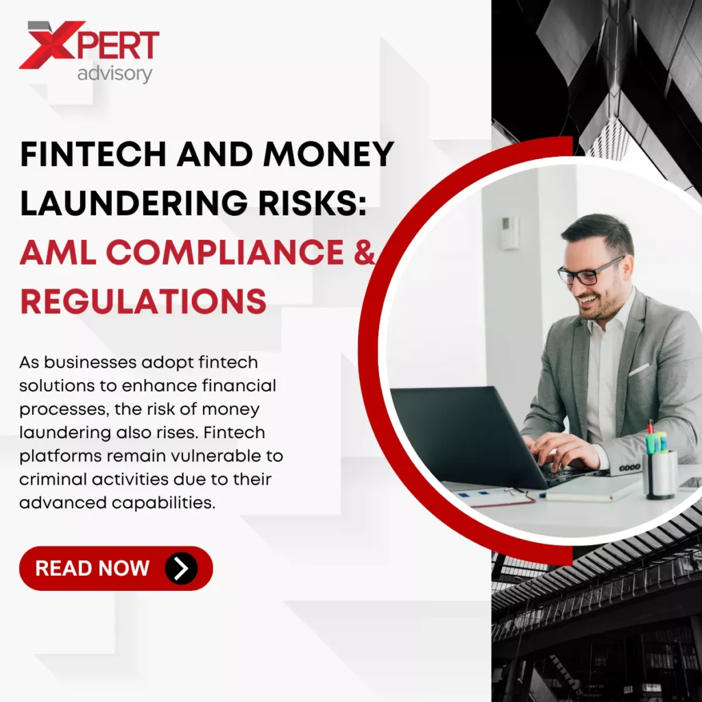 Fintech and Money Laundering
