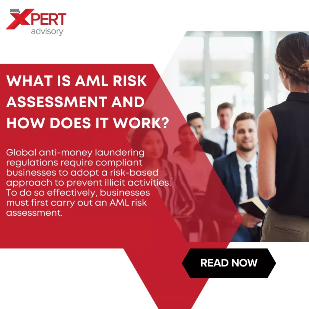 what is aml risk assessment