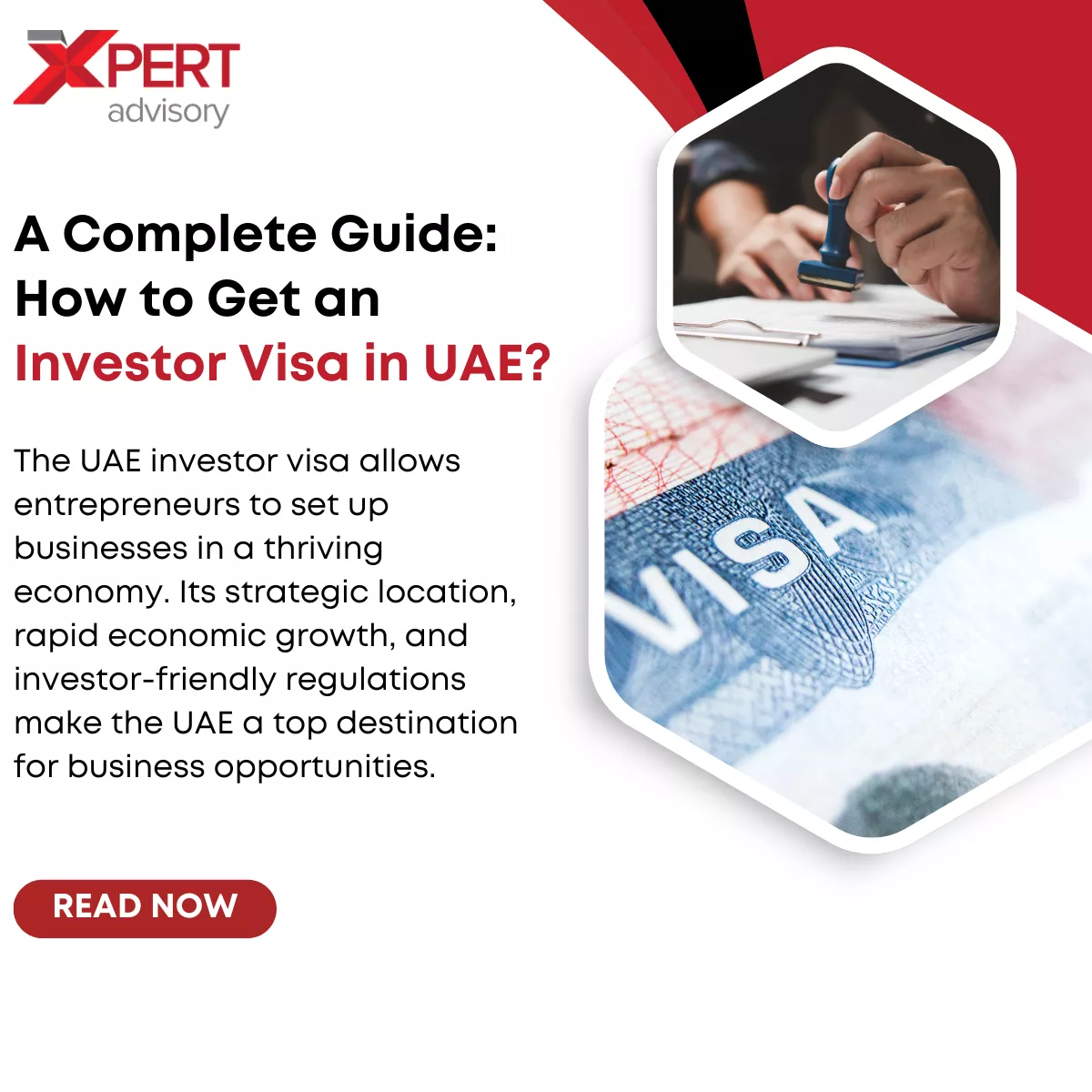 how to get an investor visa in uae