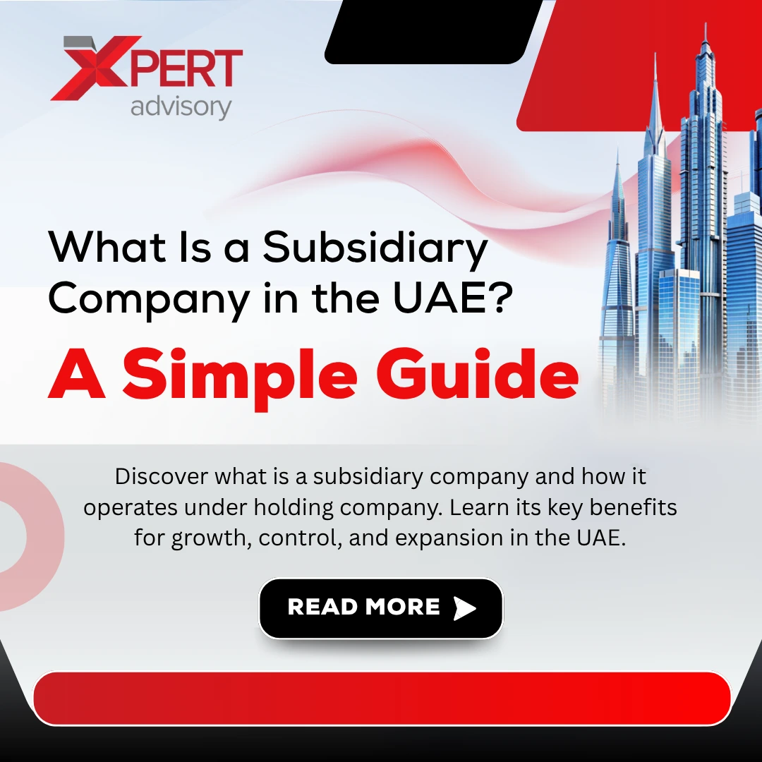 what is a subsidiary company