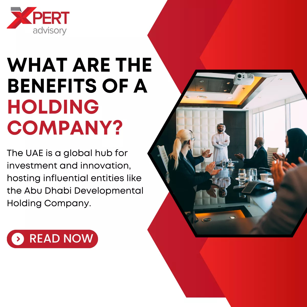 What are the Benefits of a Holding Company|Holding Company|Succession Planning|Subsidiary and Sister Companies